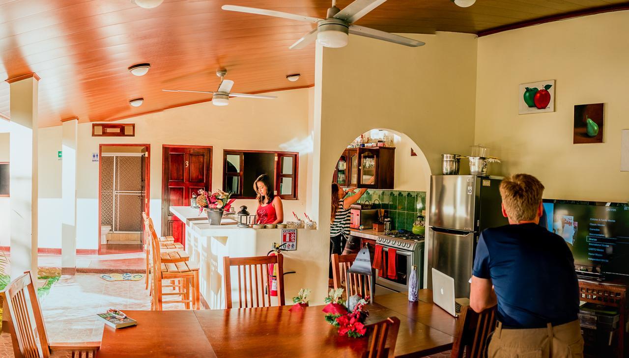 Casa Lula Leon Hostal Экстерьер фото